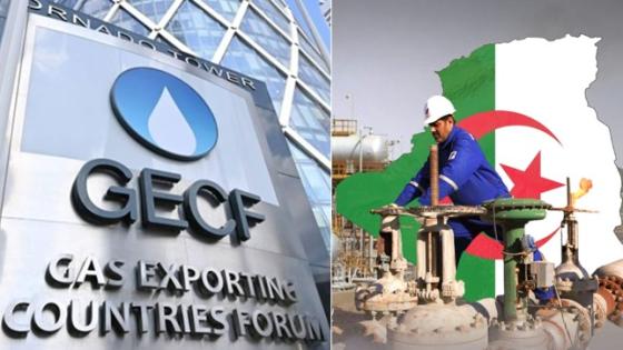 ANALYSE : 7ème SOMMET DU GECF, QUEL AVENIR POUR LE GAZ ?