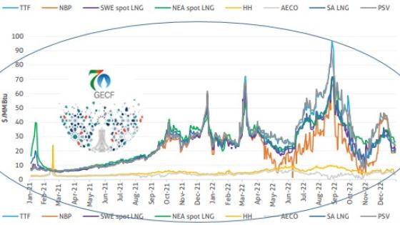 LE GECF FACE A UNE TRILOGIE : TRANSITION – MARCHE VOLATILE – COMPETITION