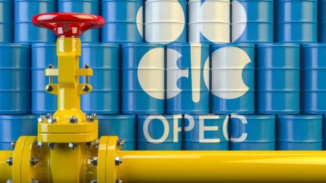 Mieux comprendre : Qu’est-ce que l’OPEP+ et quel est son impact sur les prix du pétrole et l’économie mondiale ?