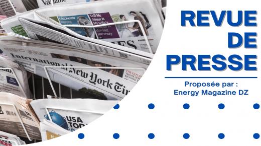 Revue de presse N°19