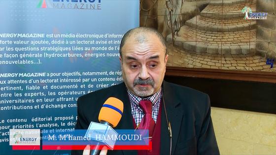 Analyse des aspects techno-économiques et réglementaires impactant le développement des EnRs en Algérie