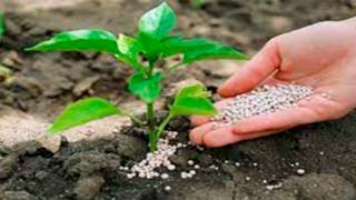 Algérie : Finalisation de l’accord de développement des phosphates avec deux sociétés chinoises