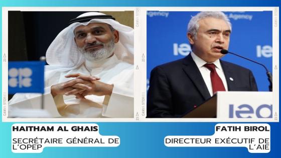 A la veille de la COP 28 : Rien ne va plus entre l’OPEP et l’AIE